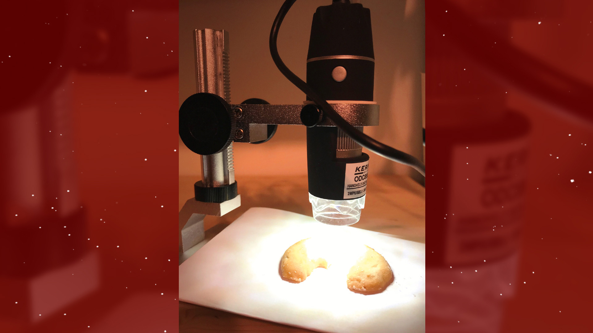 Adventskalender-Keks-unter-Mikroskop