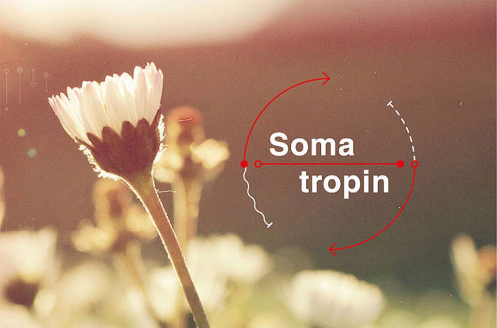 Warum Verfärben Sich Blätter Im Herbst carlroth.blog