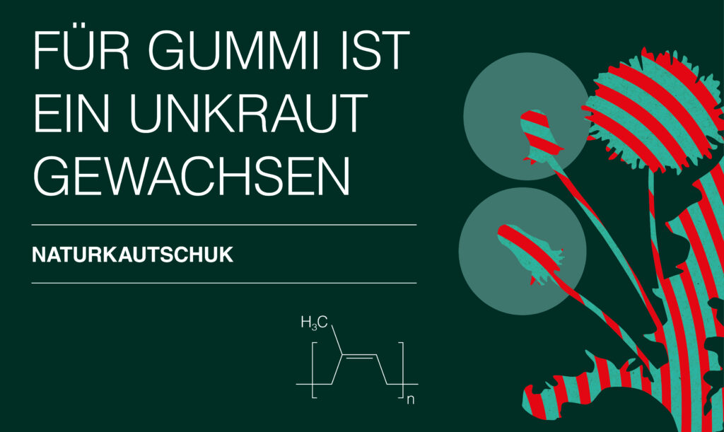 Warum verfärben sich die Blätter im Herbst? - Carl ROTH