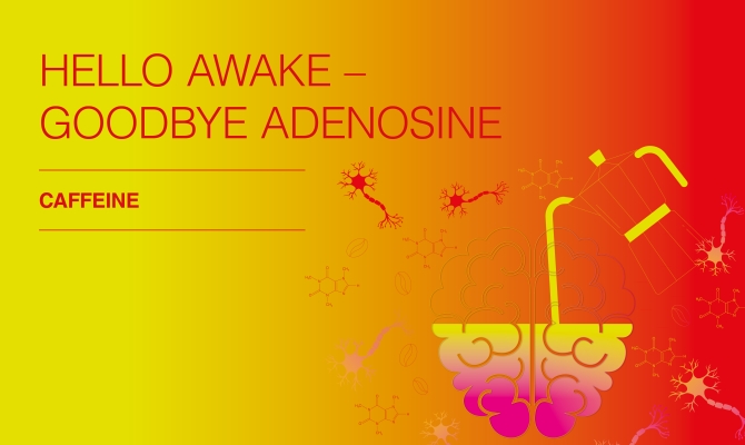 Hello caffeine – goodbye adenosine!