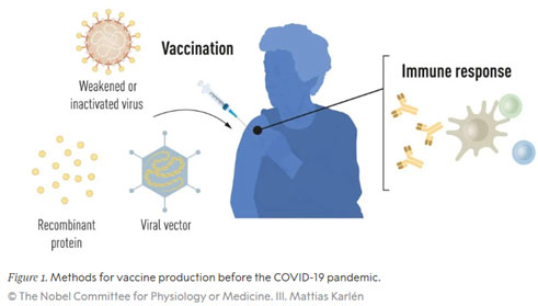 Der Zeit den entscheidenden Schritt voraus: Was mRNA-Impfstoffe möglich machte