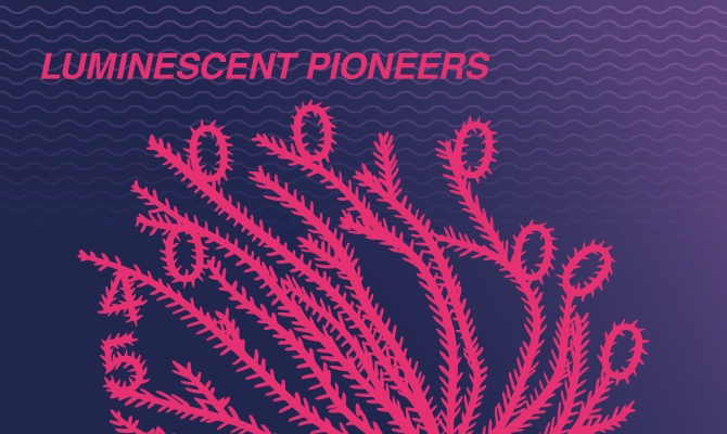 Shining pioneers