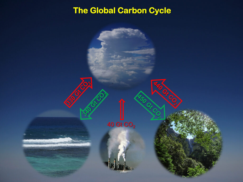 Nachhaltiges CO2-Recycling – der CETCH-Zyklus