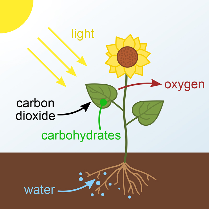 Nachhaltiges CO2-Recycling – der CETCH-Zyklus