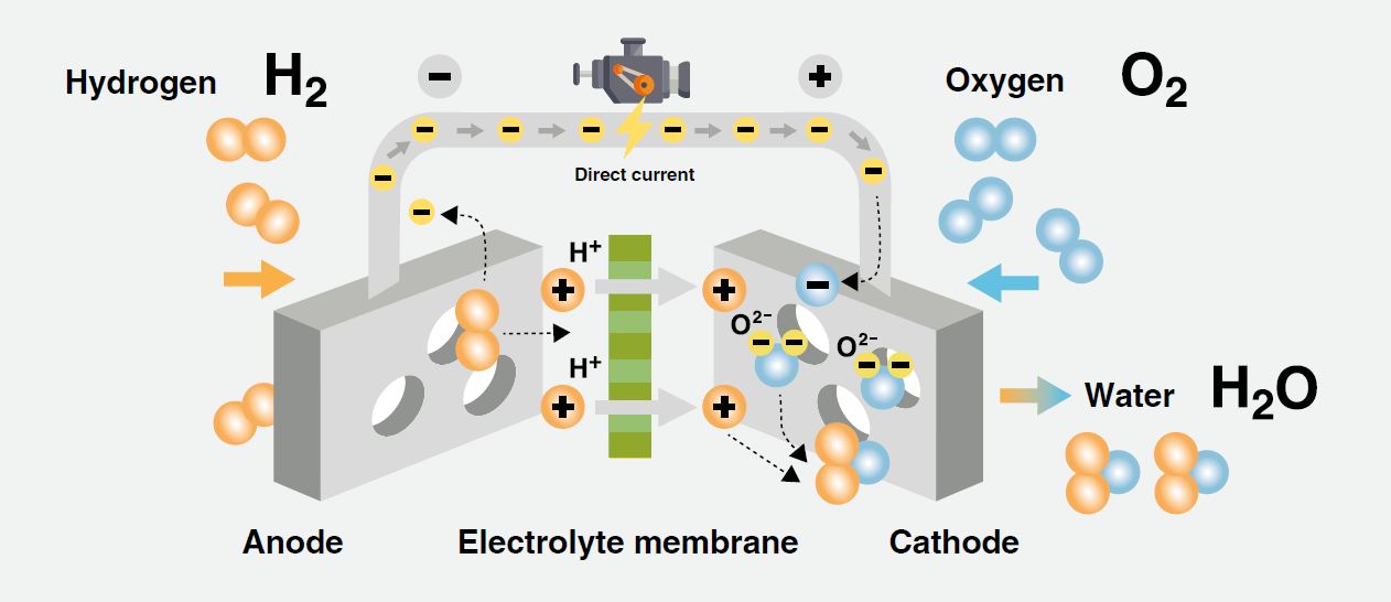 Biofuel of the future?