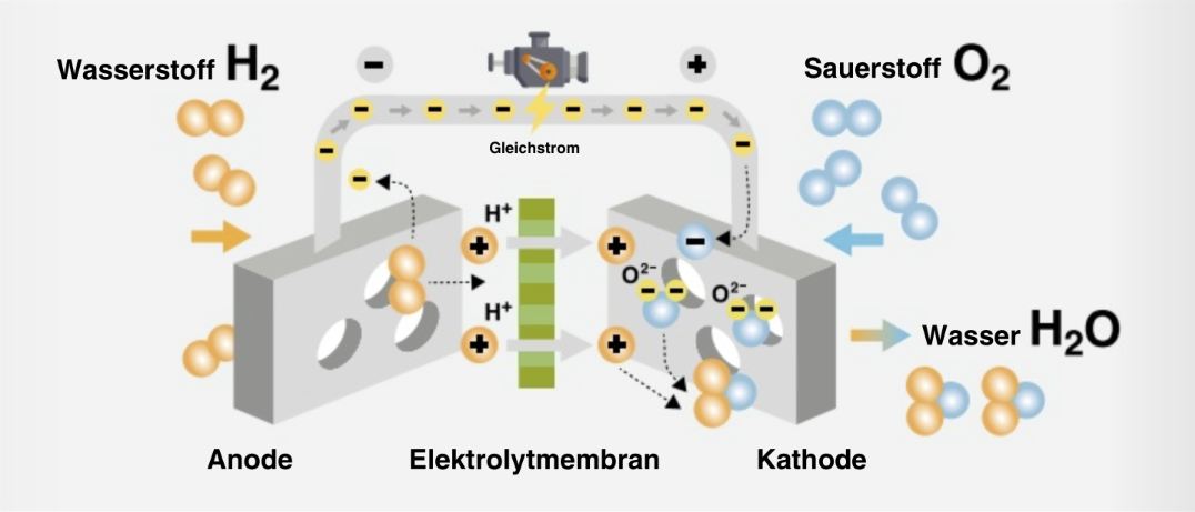 Biotreibstoff der Zukunft?